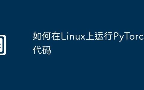 如何在Linux上运行PyTorch代码