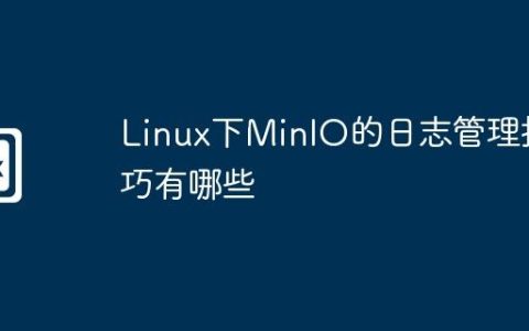 Linux下MinIO的日志管理技巧有哪些