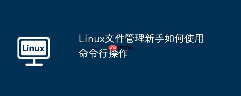 linux文件管理新手如何使用命令行操作