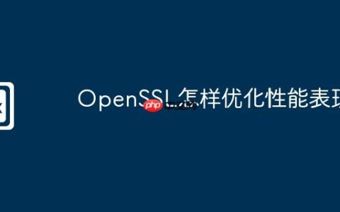 OpenSSL怎样优化性能表现