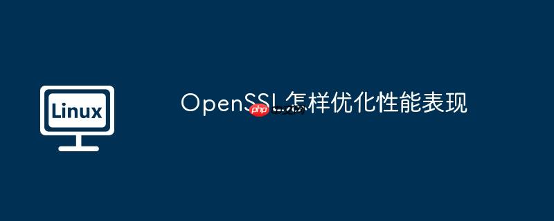 openssl怎样优化性能表现