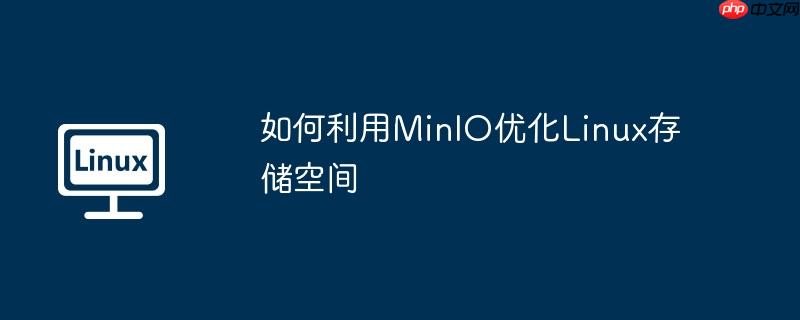 如何利用MinIO优化Linux存储空间