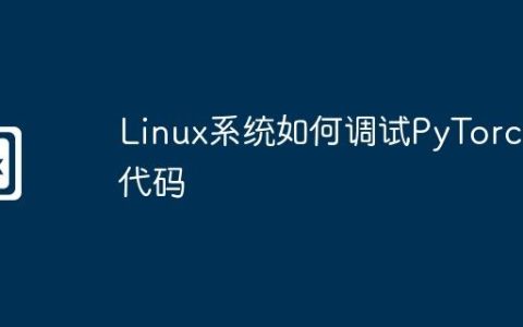 Linux系统如何调试PyTorch代码