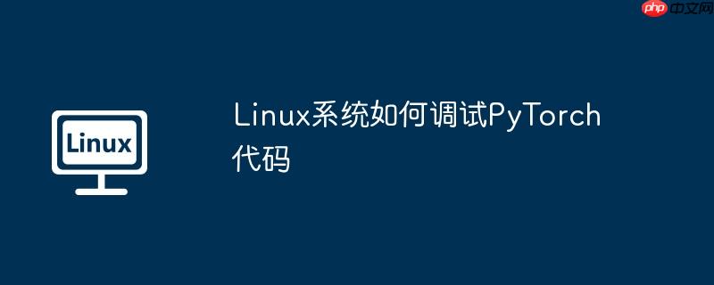 linux系统如何调试pytorch代码
