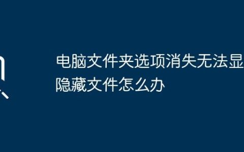 电脑文件夹选项消失无法显示隐藏文件怎么办