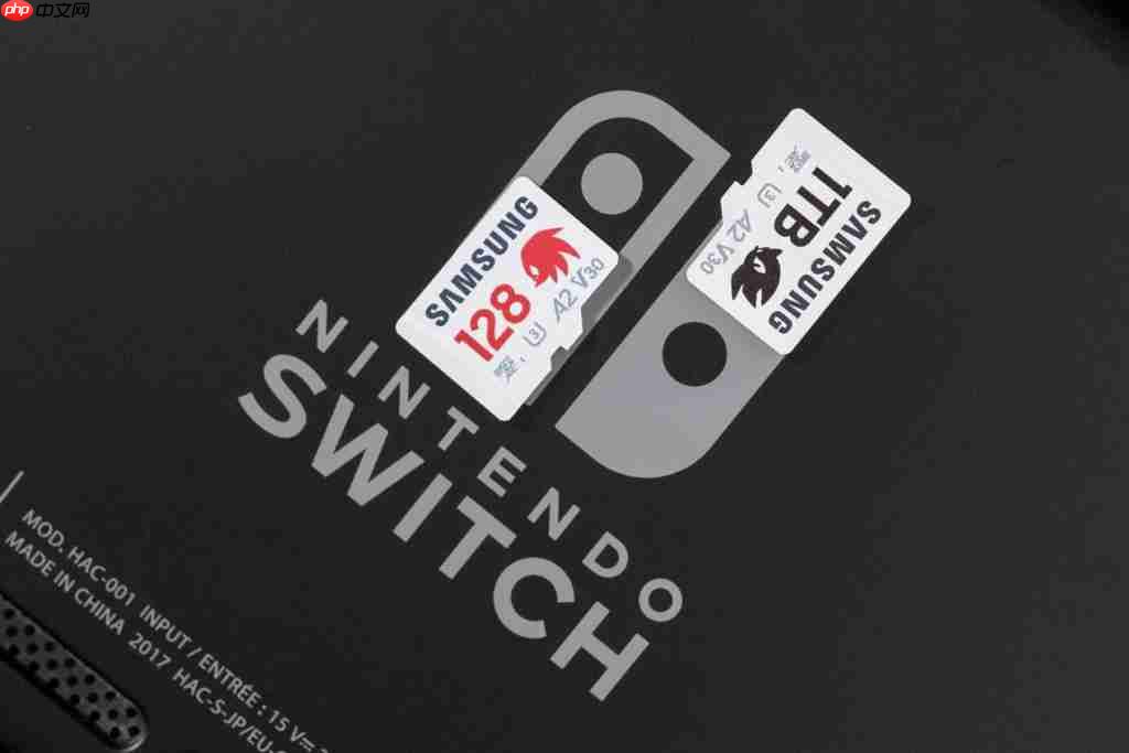 索尼克主题存储卡:游戏场景秒加载解锁,Switch 游戏新世界