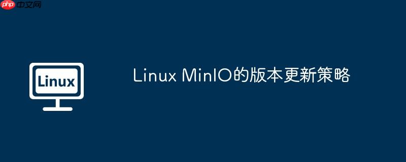 linux minio的版本更新策略
