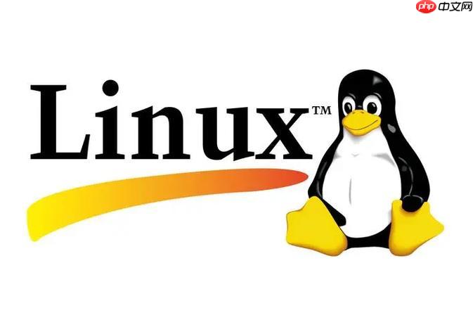 linux如何修改文件权限?chmod和chown怎么使用?