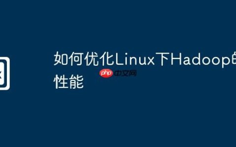 如何优化Linux下Hadoop的性能