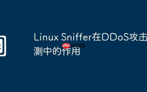 Linux Sniffer在DDoS攻击检测中的作用