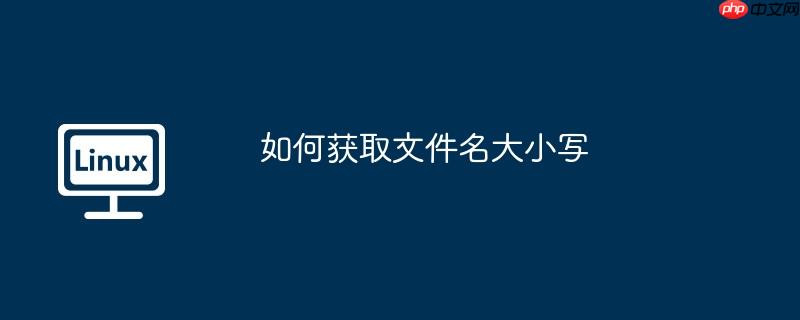 如何获取文件名大小写