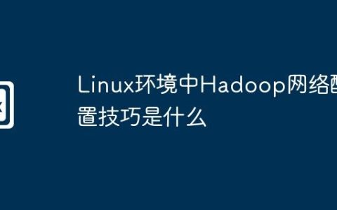 Linux环境中Hadoop网络配置技巧是什么