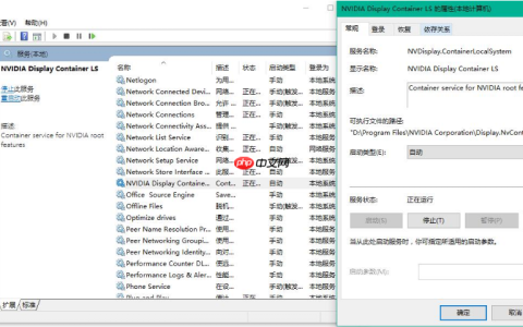 win10系统nvidia控制面板打不开怎么办