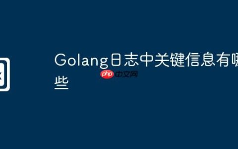 Golang日志中关键信息有哪些
