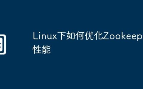 Linux下如何优化Zookeeper性能