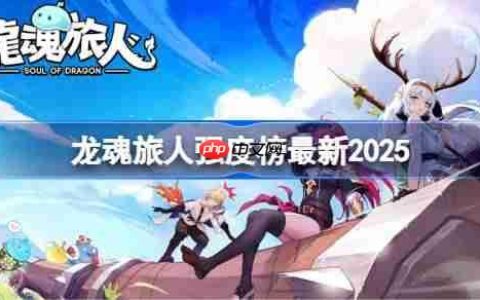 龙魂旅人强度榜最新2025-龙魂旅人角色强度榜2025
