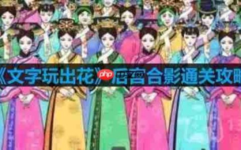 文字玩出花后宫合影怎么过-后宫合影通关攻略