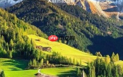 一加12哈苏专业模式直方图解读