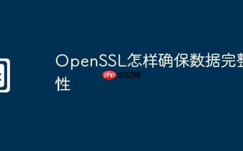 OpenSSL怎样确保数据完整性