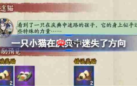一只小猫在庆典中迷失了方向-阴阳师端午答题第三天答案2025