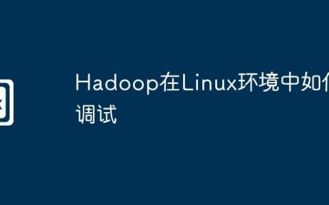 Hadoop在Linux环境中如何调试
