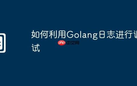 如何利用Golang日志进行调试