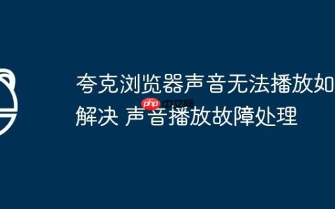 夸克浏览器声音无法播放如何解决 声音播放故障处理