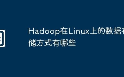 Hadoop在Linux上的数据存储方式有哪些