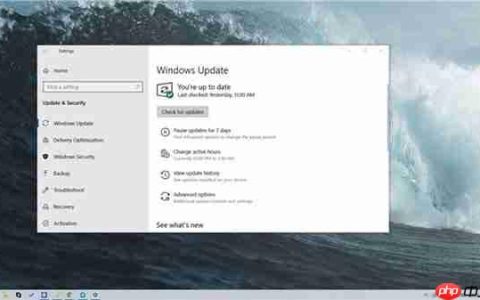 win10安装最新补丁个人配置文件被删除怎么办？