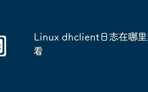 Linux dhclient日志在哪里查看