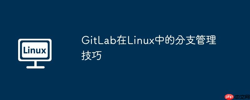 GitLab在Linux中的分支管理技巧