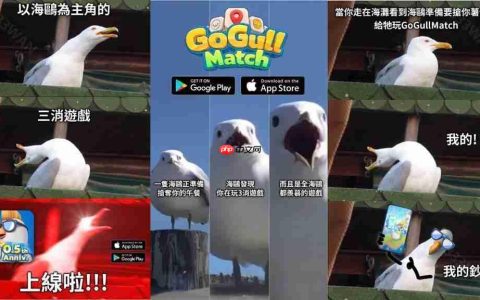 国产三消游戏《Go Gull Match》推出新版本 即时 PK 模式登场