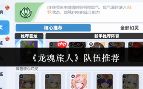 龙魂旅人最强队伍搭配指南：从零氪到PVP全面制霸