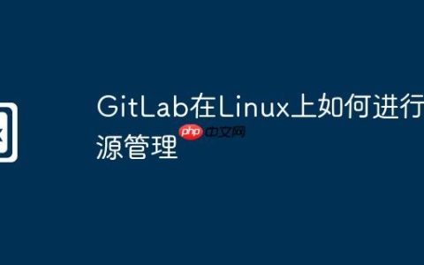 GitLab在Linux上如何进行资源管理