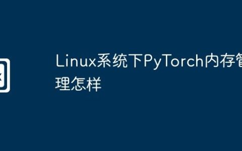 Linux系统下PyTorch内存管理怎样
