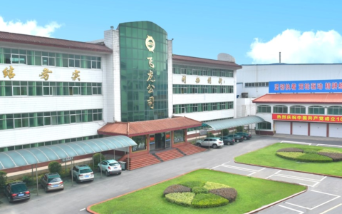 飞龙股份再获新订单，将提供大功率数据中心专用电子水泵