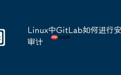 Linux中GitLab如何进行安全审计