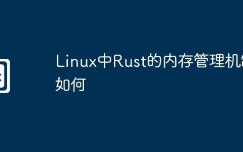 Linux中Rust的内存管理机制如何