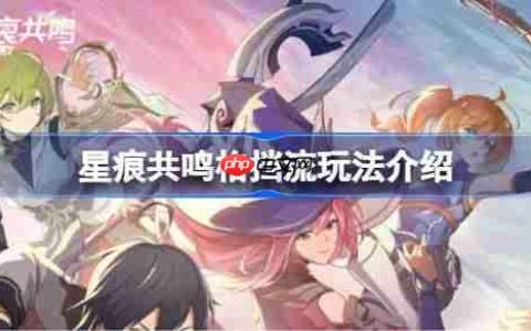 星痕共鸣格挡流该怎么玩-星痕共鸣格挡流玩法介绍
