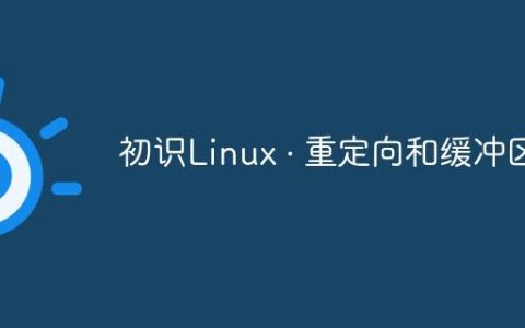 初识Linux · 重定向和缓冲区
