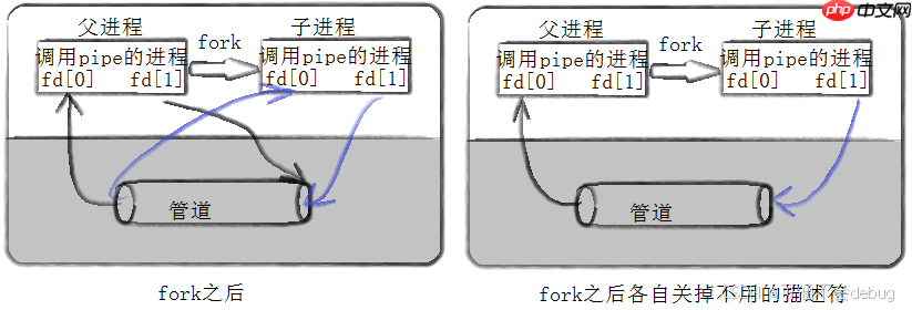 【Linux】解锁管道通信和共享内存通信,探索进程间通信的海洋