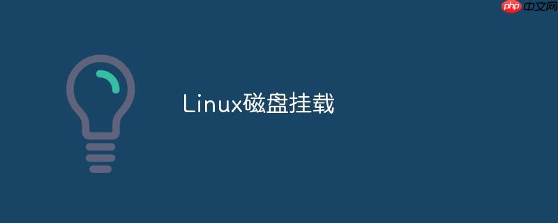 linux磁盘挂载