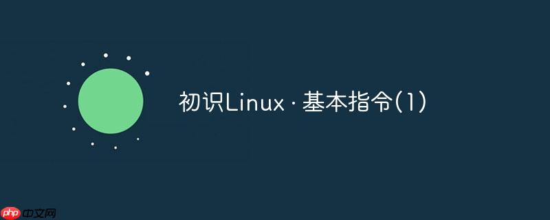 初识Linux · 基本指令(1)