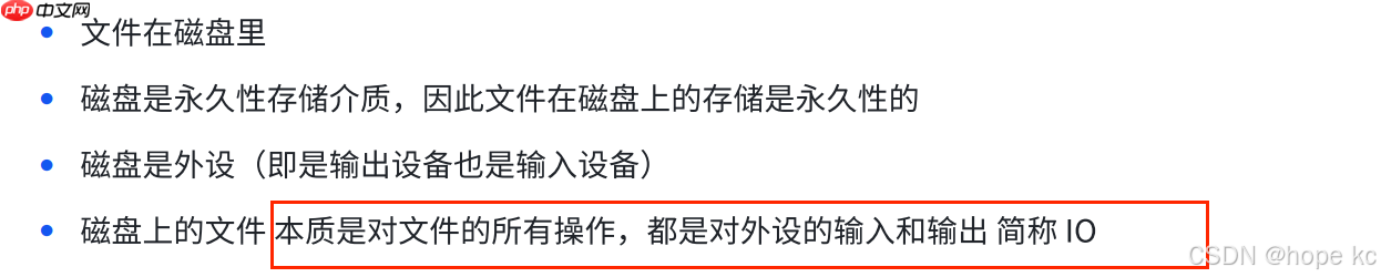 Linux探秘坊——-10.基础IO