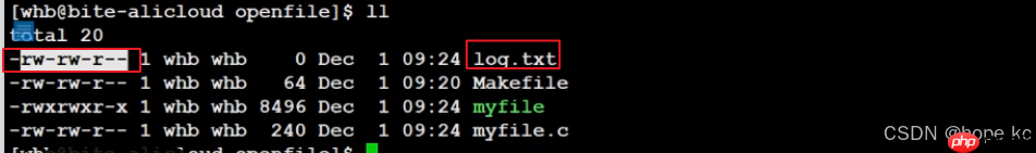 Linux探秘坊-------10.基础IO
