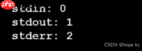 Linux探秘坊-------10.基础IO
