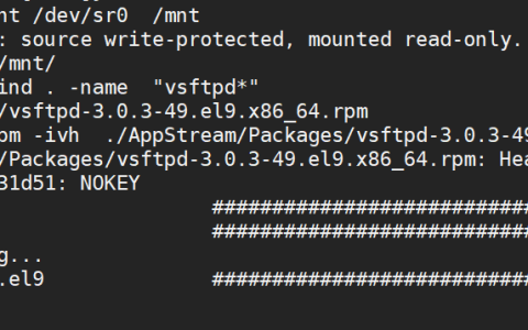 LINUX综合实验