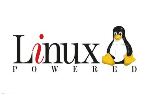 解决Linux命令”Unrecognized service”管理错误的技巧