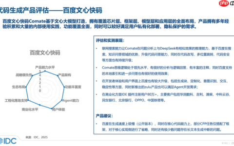 IDC权威评测：文心快码位居国内代码生成产品评估第一