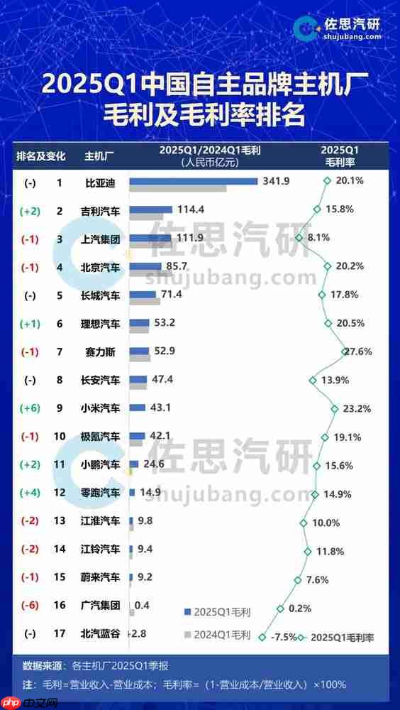2025Q1中国车企毛利排名揭晓:比亚迪领先 小米第九